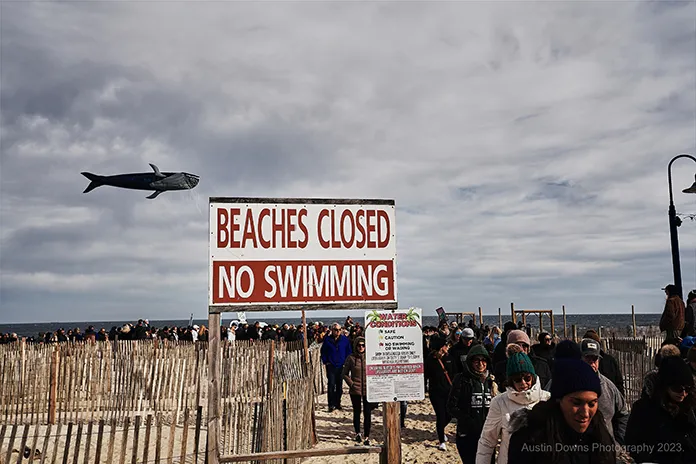 Whale Deaths Raise Concerns Over Offshore Wind Projects in New Jersey